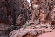 Wadi Rum - Siq trail