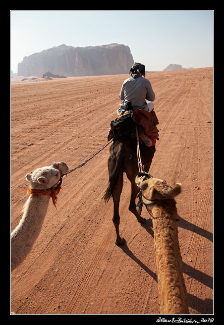 Wadi Rum - camelback ride