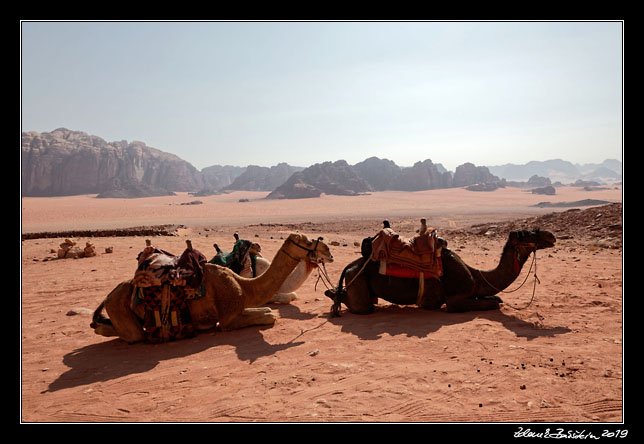 Wadi Rum -