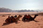 Wadi Rum -