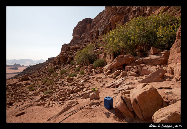 Wadi Rum - Qattar spring