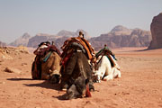 Wadi Rum -