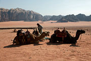 Wadi Rum -