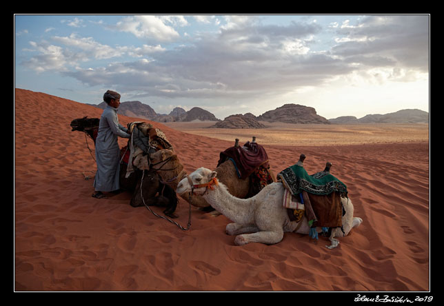 Wadi Rum -