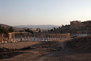 Jerash (Jarash) - Forum