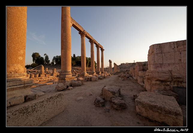 Jerash (Jarash) - Cardo Maximus