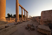 Jerash (Jarash) - Cardo Maximus