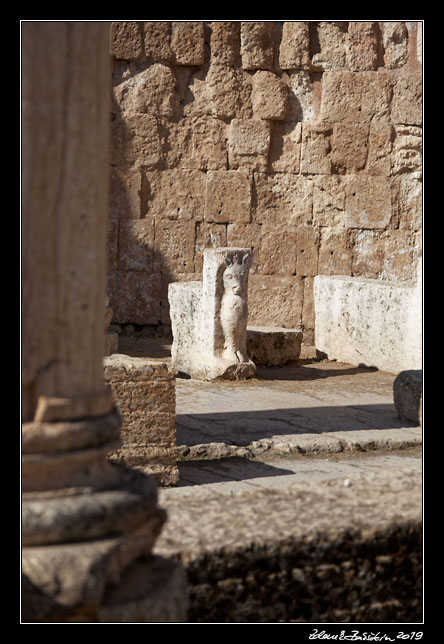 Jerash (Jarash) - Agora