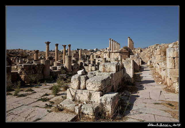 Jerash (Jarash) - Cathedral