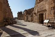 Jerash (Jarash) -