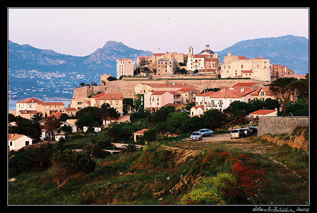 Calvi