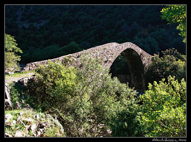 Genovese bridge at Ota