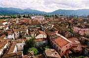 Lucca