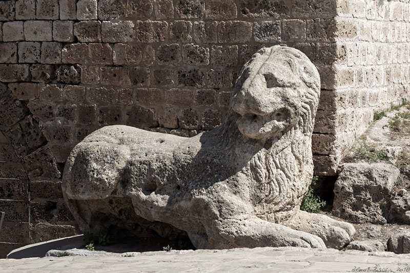 North Cyprus - Famagusta - lion at Porta del mare