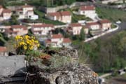 Le Puy-en-Velay -