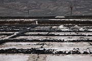 Lanzarote - a saline in Los Cocoteros