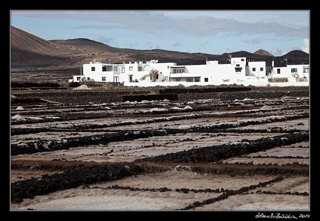 Lanzarote - Los Cocoteros