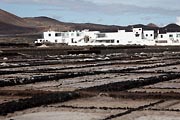 Lanzarote - Los Cocoteros