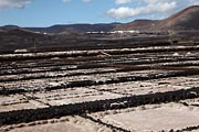 Lanzarote -  a saline in Los Cocoteros