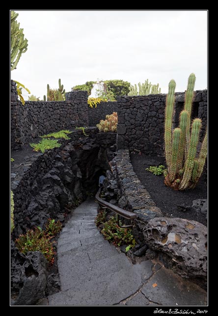 Lanzarote - Fundacion Cezar Manrique