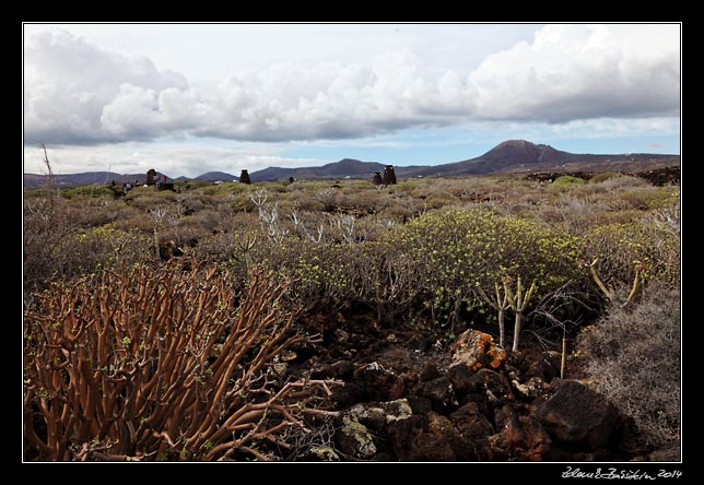 Lanzarote - Cueva de los Verdes