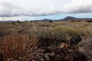 Lanzarote - Cueva de los Verdes