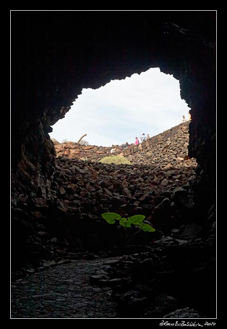 Lanzarote - Cueva de los Verdes