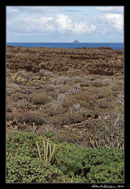 Lanzarote - Roque del Este