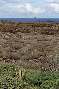 Lanzarote - Roque del Este