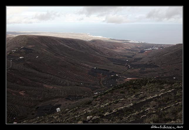 Lanzarote - Barranco del Chafaris