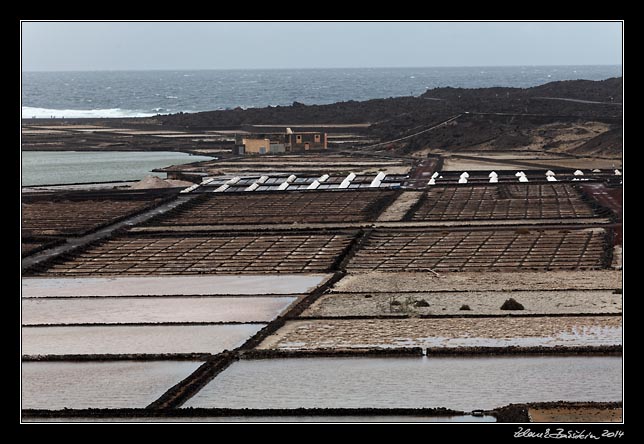 Lanzarote - Salinas Janubios