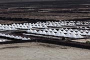 Lanzarote - Salinas Janubios