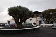 Lanzarote - La Geria