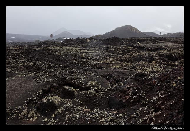 Lanzarote - La Geria