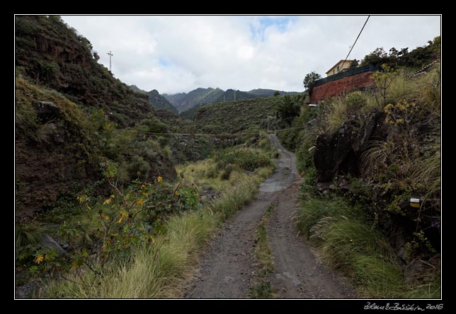 La Palma - Barranco de la Madera -