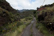 La Palma - Barranco de la Madera -