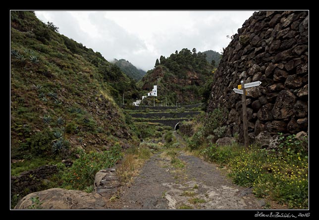 La Palma - Barranco de la Madera -