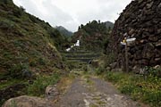 La Palma - Barranco de la Madera -