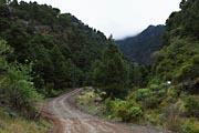 La Palma - Barranco de la Madera -