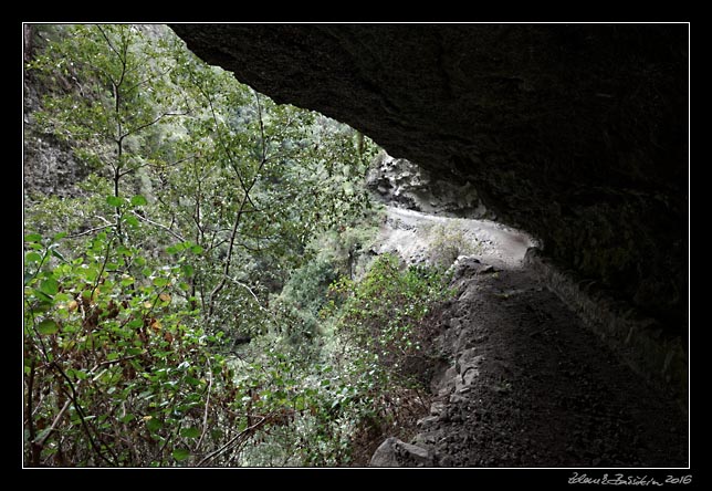 La Palma - Barranco de la Madera -