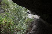 La Palma - Barranco de la Madera -