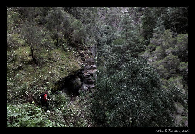 La Palma - Barranco de la Madera -