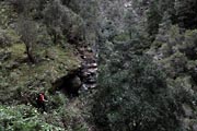 La Palma - Barranco de la Madera -