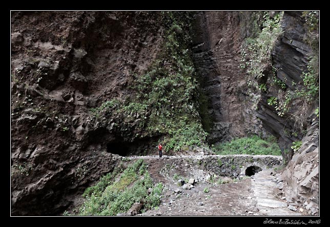 La Palma -  Barranco de la Madera -