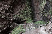 La Palma -  Barranco de la Madera -