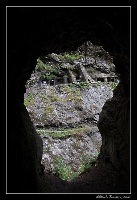 La Palma - Barranco de la Madera -