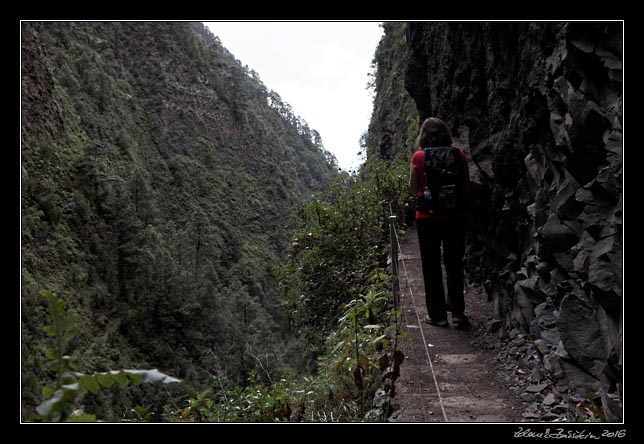 La Palma - Barranco de la Madera -