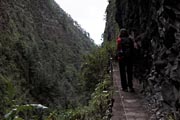 La Palma - Barranco de la Madera -