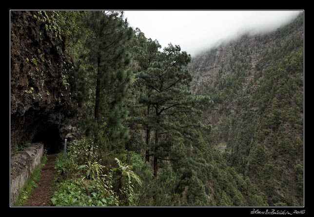 La Palma - Barranco de la Madera -