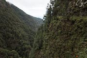 La Palma - Barranco de la Madera -